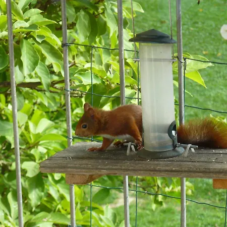 Haus Ahorn Appartement Bad Dürrheim